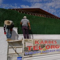services